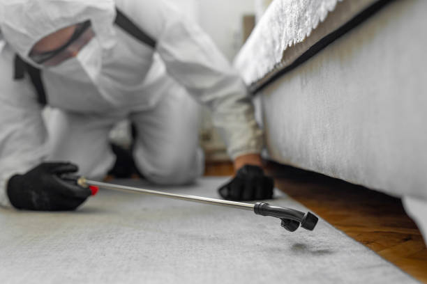 Professional Termite Control technician working in Chester County County, PA